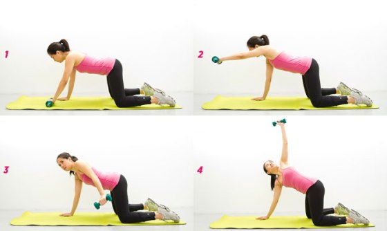 Plank with front raise and rotation - Image from the internet 